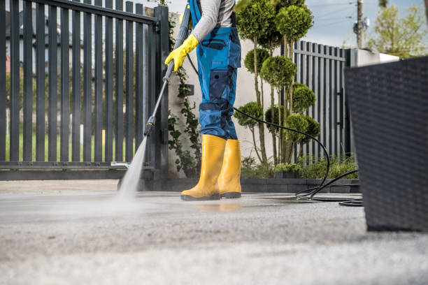 Solar Panel Cleaning in Country Clu, FL